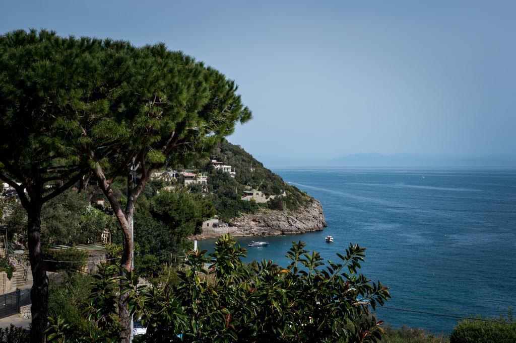 Marina Del Cantone Chalet Nerano Dış mekan fotoğraf
