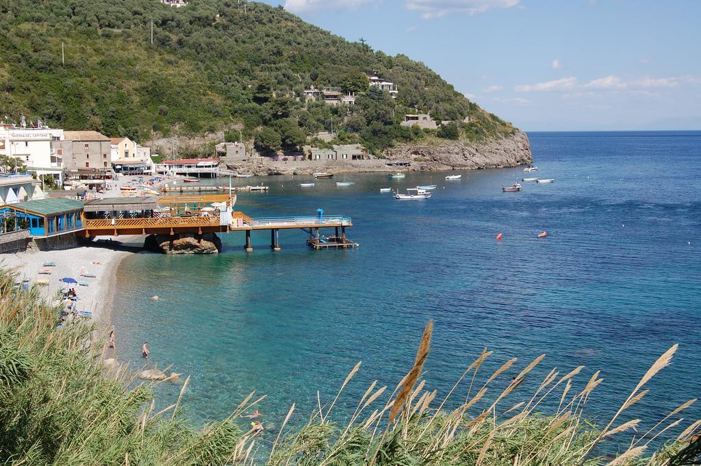 Marina Del Cantone Chalet Nerano Dış mekan fotoğraf